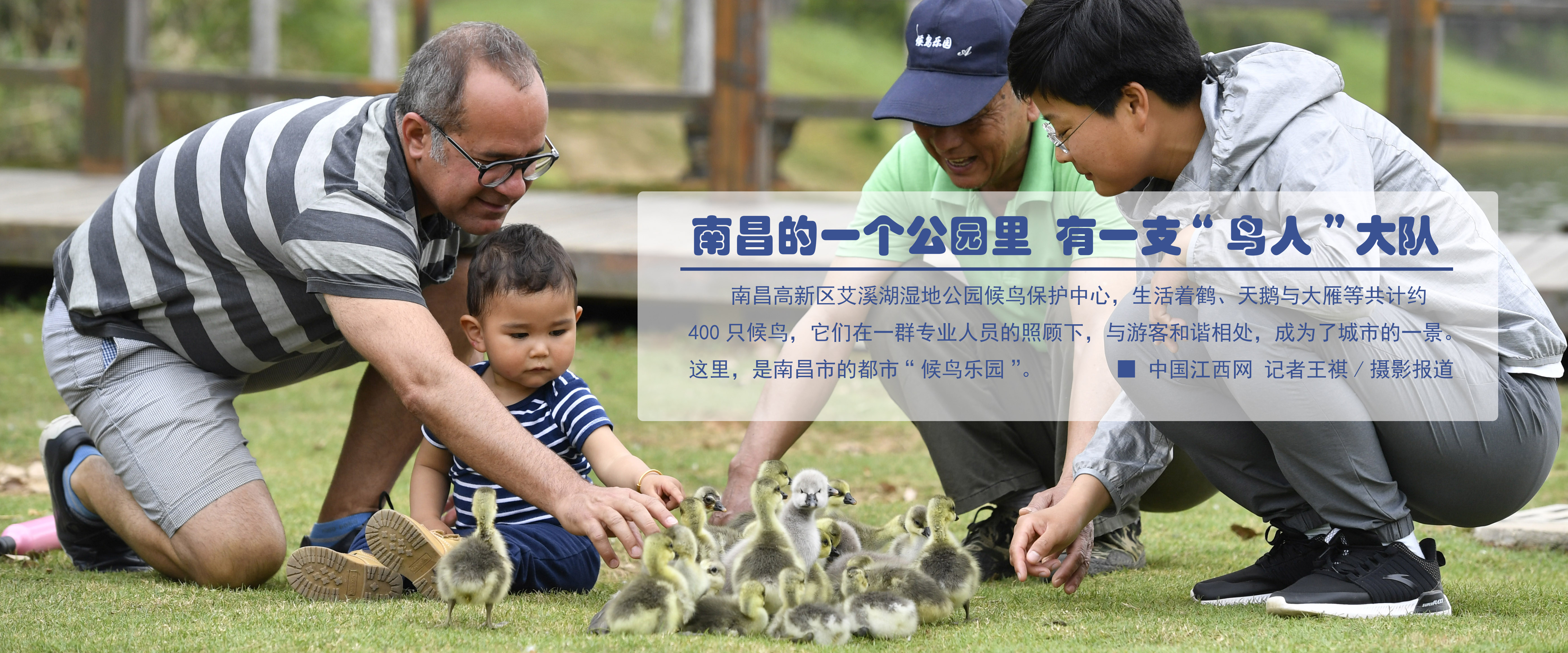 南昌的一个公园里  有一支“鸟人”大队