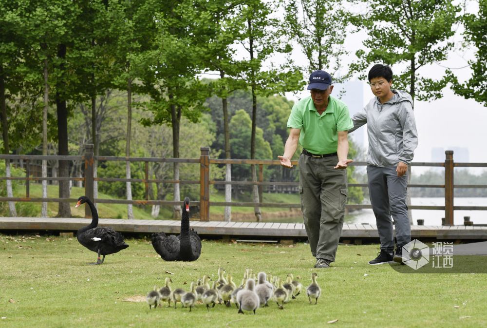 南昌的一个公园里  有一支“鸟人”大队