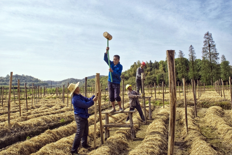 江西袁州：多举措带领群众致富