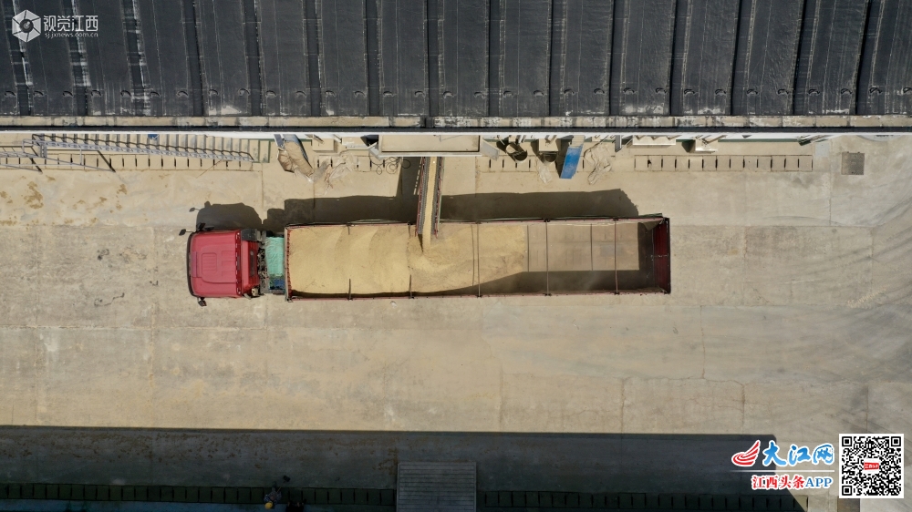 探访南昌“智慧粮库” 感受现代化粮仓的科技范儿