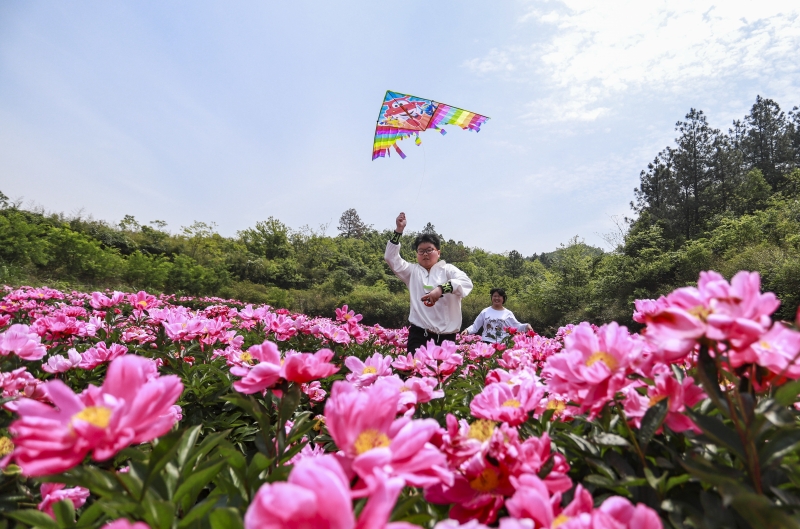 江西湖口：“美丽经济”助脱贫