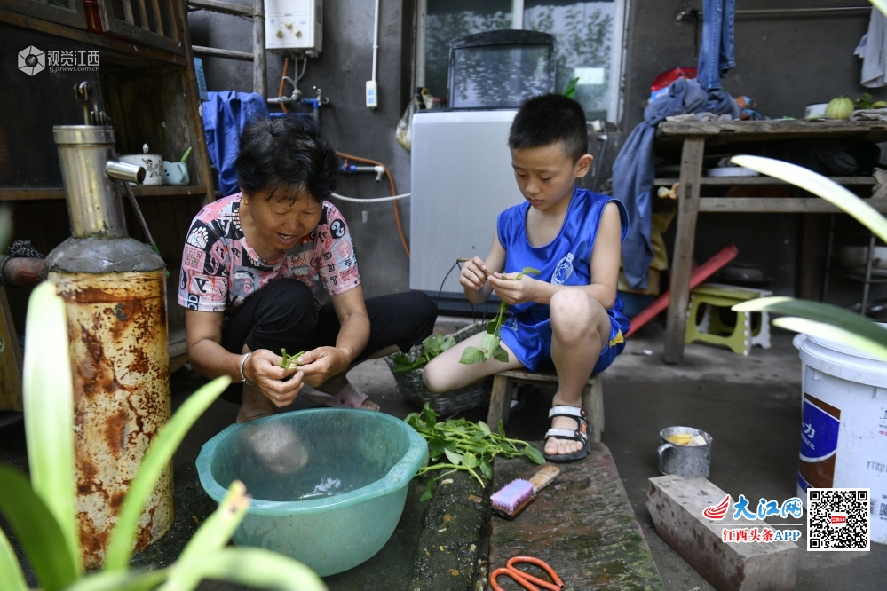 摔跤吧！乡村少年