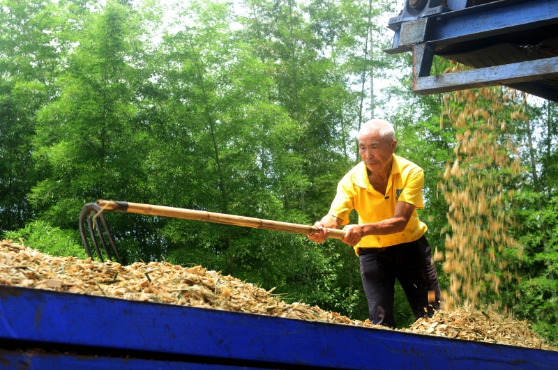 江西分宜：“输血”变“造血” 产业扶贫见真招