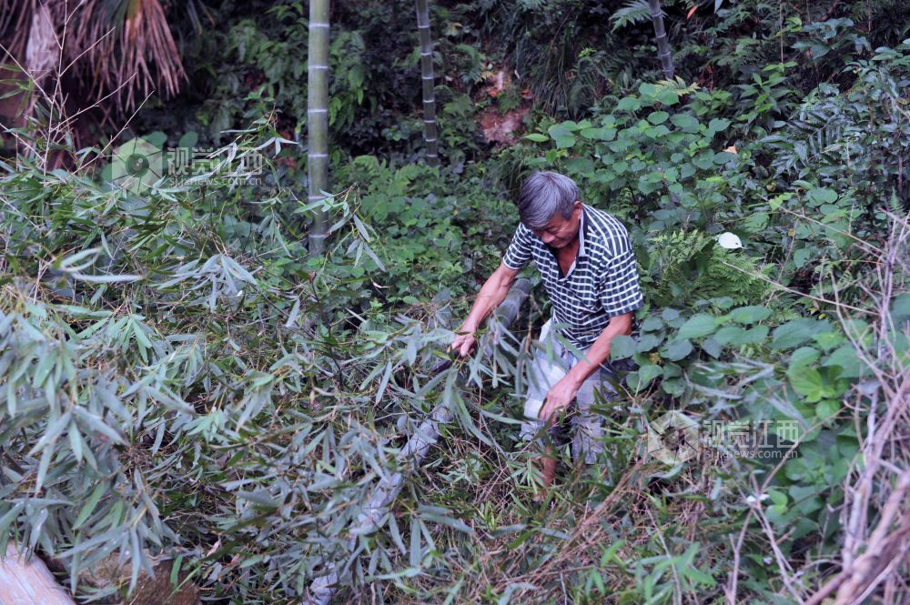 奋进脱贫勇争先 他用竹子“挑”起脱贫担