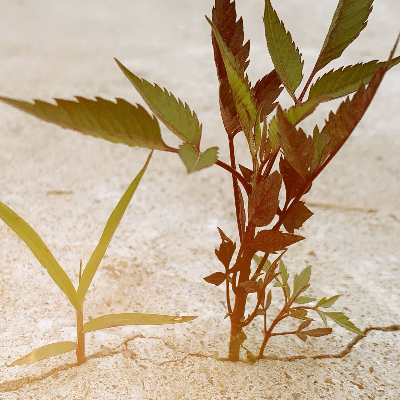 龙礼香，任职于县级宣传部的一名新闻干事，喜欢摄影。