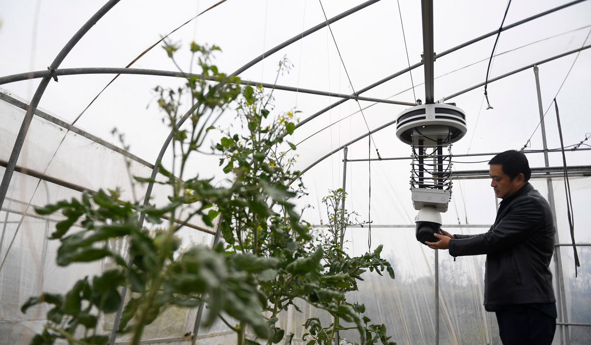 江西南昌：AI机器人守护大棚 为作物开“健康处方”