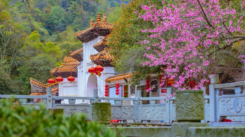 【视频】江西峡江：玉笥山桃花盛开春意浓