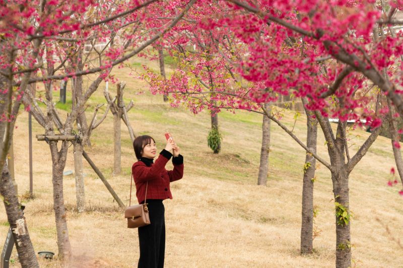 江西永丰：?；ㄕ婪糯阂馀?>
          <span>江西永丰：?；ㄕ婪糯阂馀?/span></a>
        </li>
               <li>
          <a href=