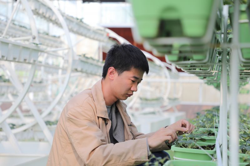 【视频】江西南昌：90后新农人用“元宇宙”种菜