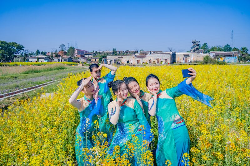 江西金溪：阳春花开醉游人