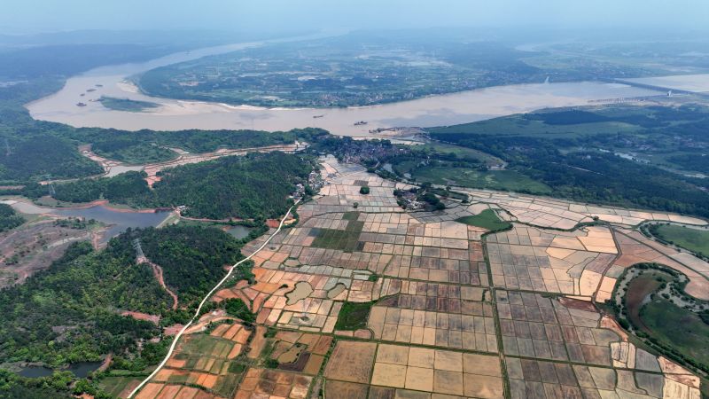 江西泰和：春耕田园壮观如画