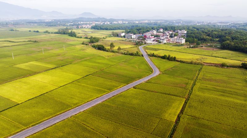 江西新余：树起“护身符” ?；?ldquo;饭碗田”