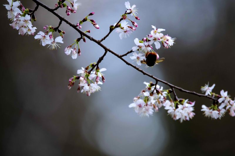 江西分宜：野生?；ㄓ赫婪?>
          <span>江西分宜：野生?；ㄓ赫婪?/span></a>
        </li>
               <li>
          <a href=