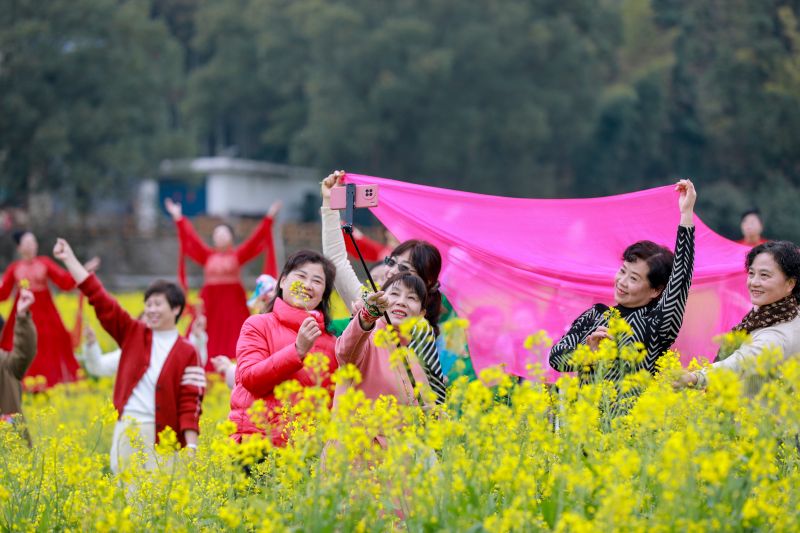 江西万安：油菜花开游人醉