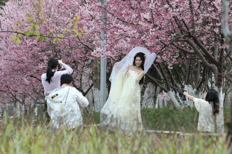 江西赣州：?；ㄕ婪糯阂馀?>
          <span>江西赣州：樱花绽放春意浓</span></a>
        </li>
               <li>
          <a href=