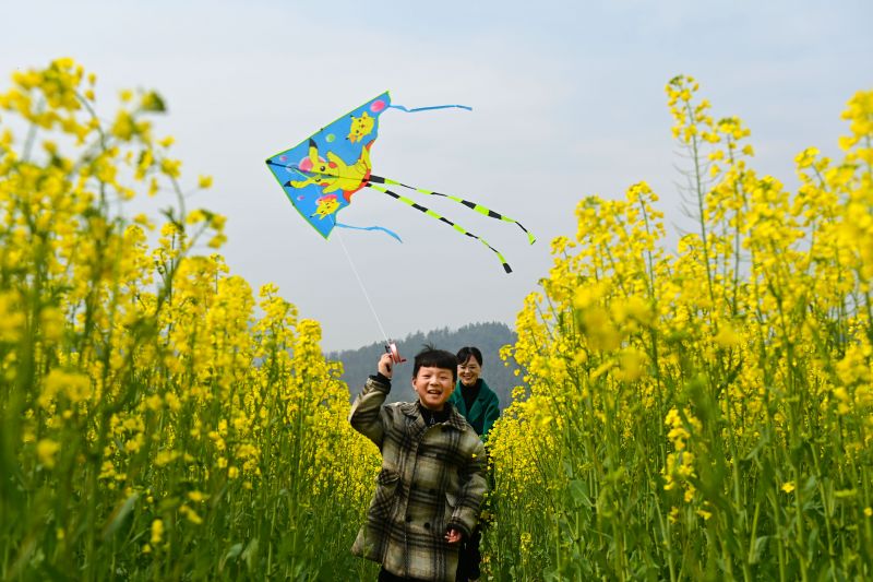 江西万载：踏春赏花享春光