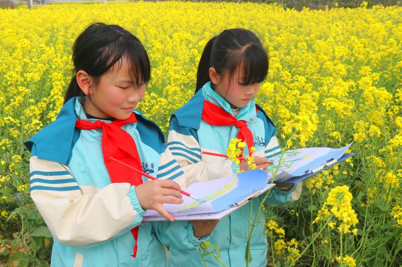 江西余干：油菜花田“画春天”