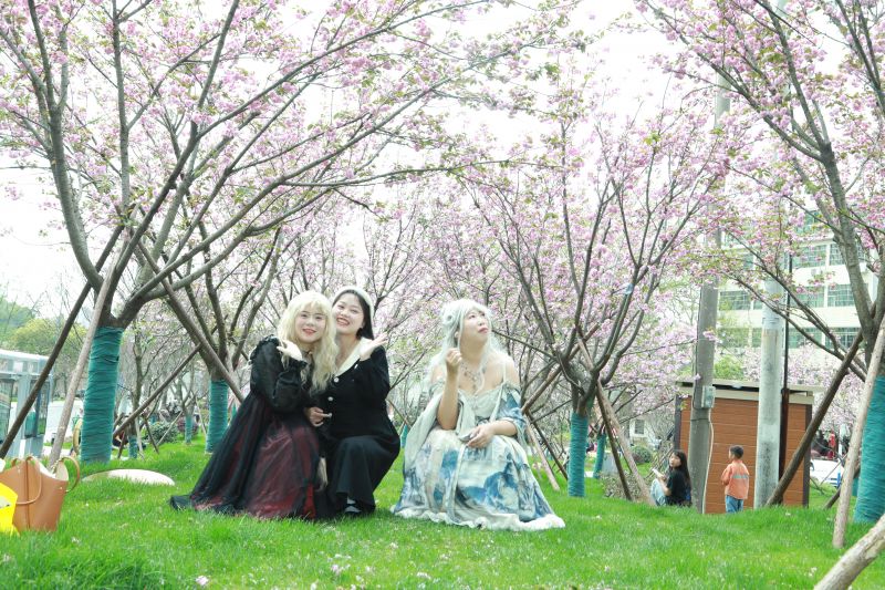 江西万安：?；ㄊ⒖?市民浪漫打卡