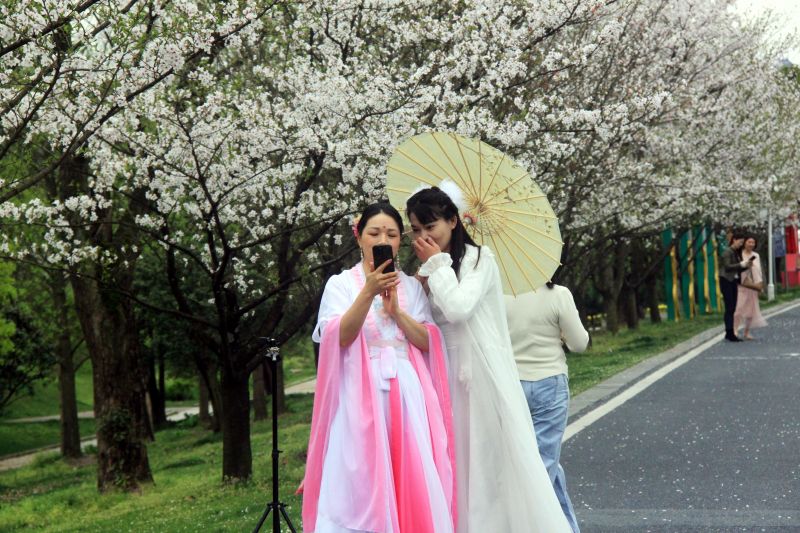 江西玉山：金沙溪畔  ?；ㄅ?>
          <span>江西玉山：金沙溪畔  樱花怒放</span></a>
        </li>
               <li>
          <a href=