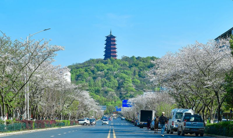 江西吉安：春日?；ㄗ碛稳?>
          <span>江西吉安：春日?；ㄗ碛稳?/span></a>
        </li>
               <li>
          <a href=