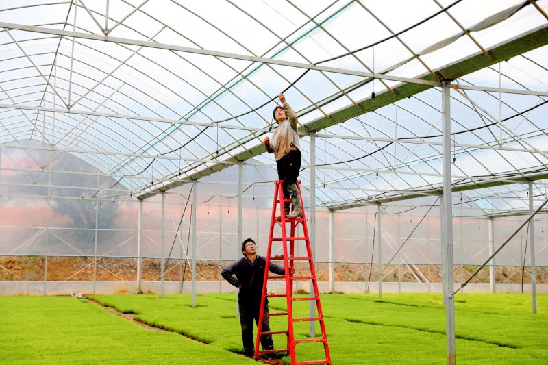 江西峡江：智慧农业赋能乡村产业振兴