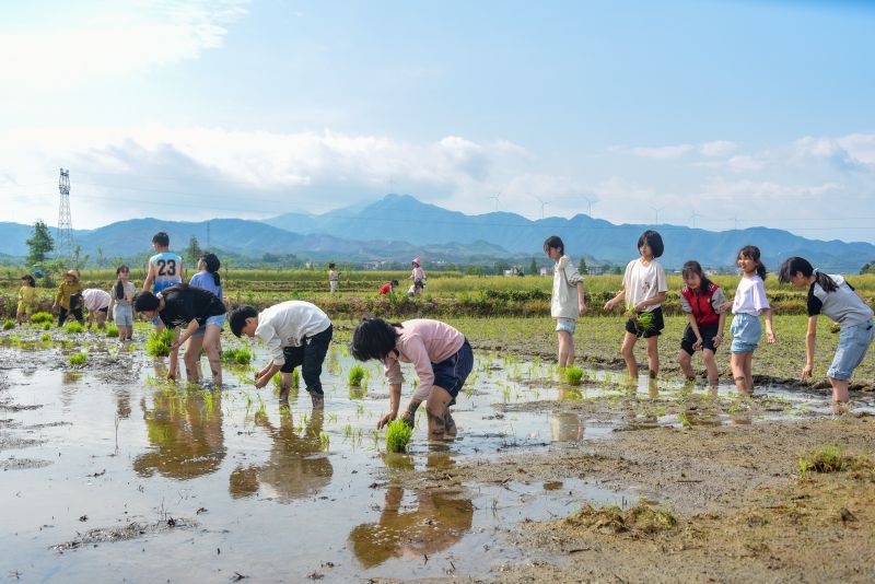 江西遂川：谷雨时节农事忙 少年田间帮插秧