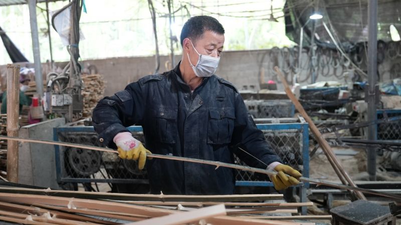 江西永丰：竹海生金 毛竹变身“致富竹”