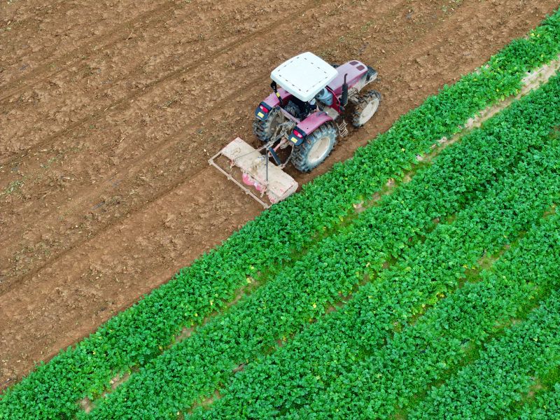 江西泰和：农机翻耕忙