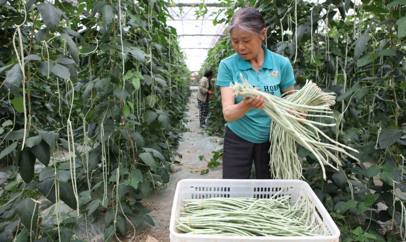 江西宜春：传统农业转型促增效