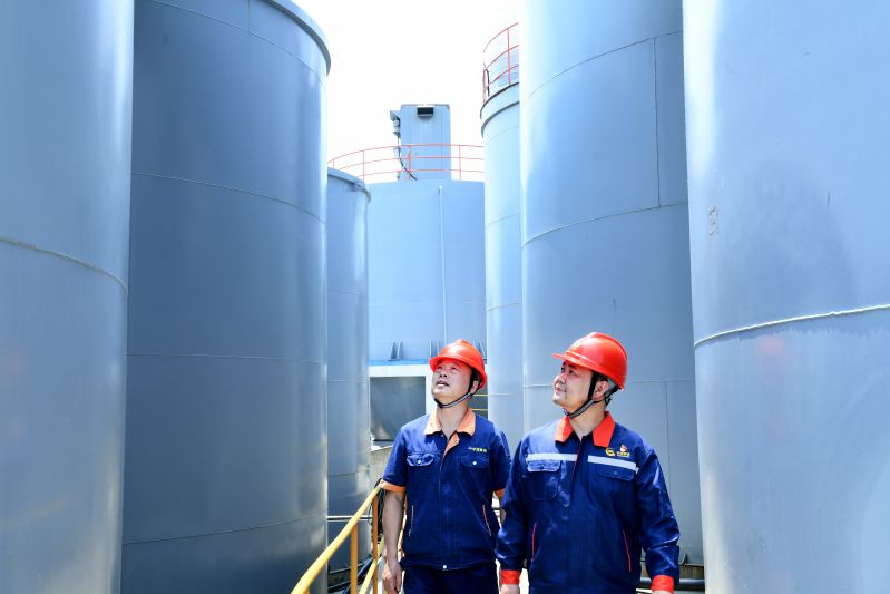 全国劳模倪平：用匠心铸就金色人生