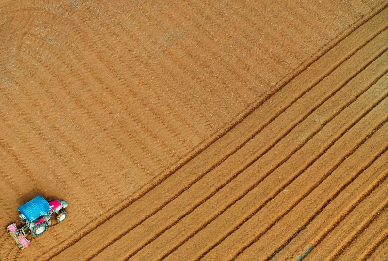 江西泰和：农机翻耕忙