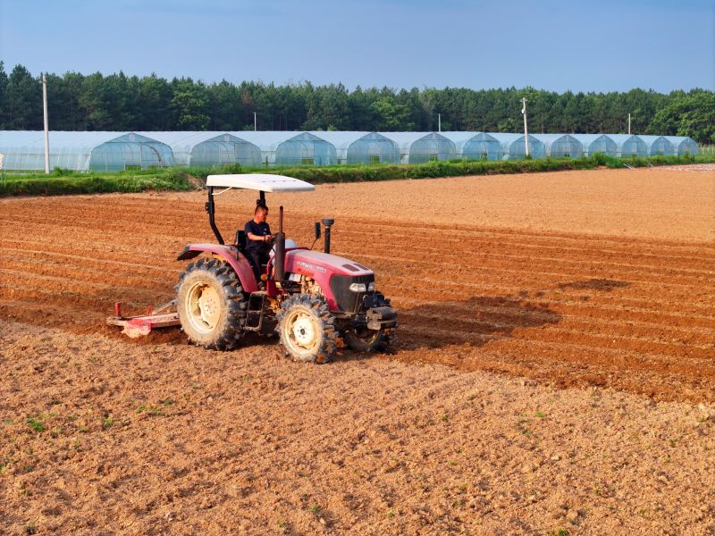 江西泰和：“三夏”时节夏耕忙