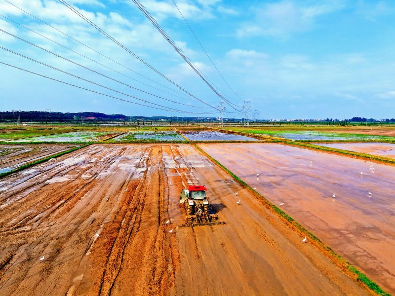 赣江新区：抢抓农时夏耕忙