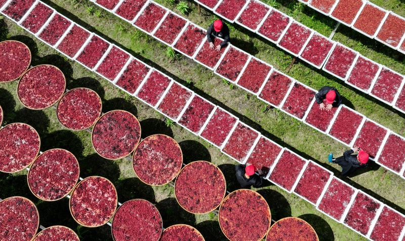 江西宜春：制作传统美食促增收