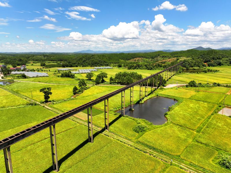 江西泰和:引水工程保障粮食丰产