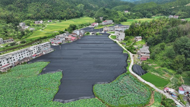 江西永丰：竹荪菇撑开“致富伞”