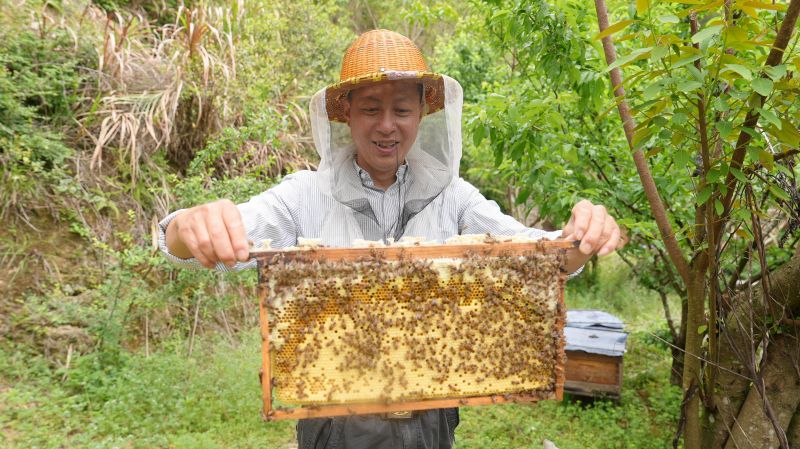 江西永丰：绿水青山酿“甜蜜” 蜂农共筑致富路