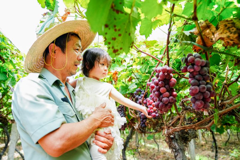 江西万载：夏日果园迎丰收