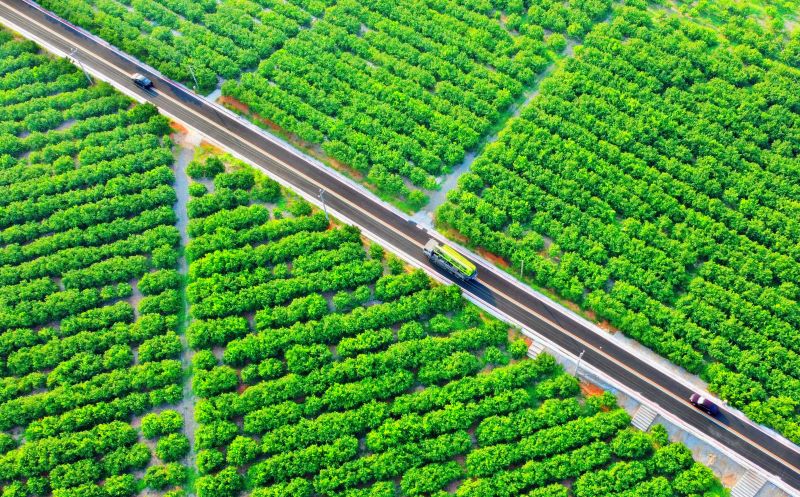 江西新余：路畅景美产业兴