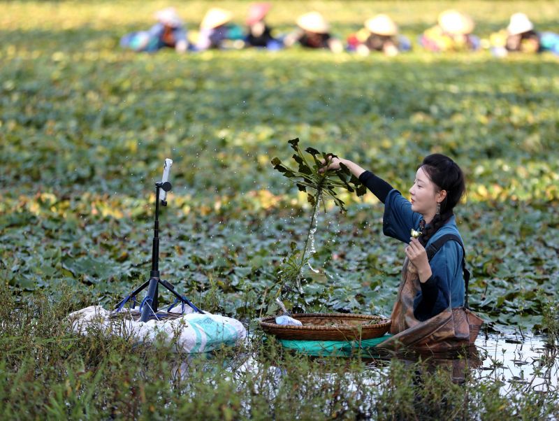 江西分宜：网络直播助农增收