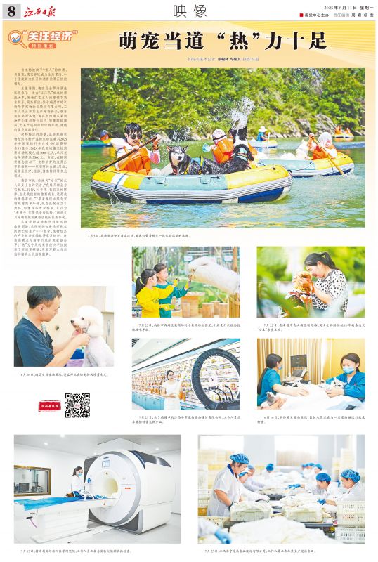 萌宠当道 “热”力十足