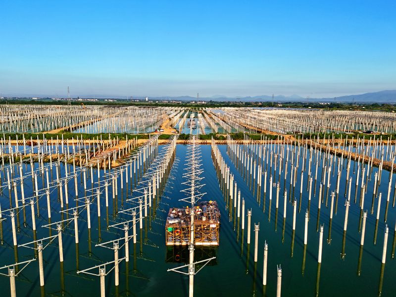 江西赣江新区：光伏发电项目建设正酣