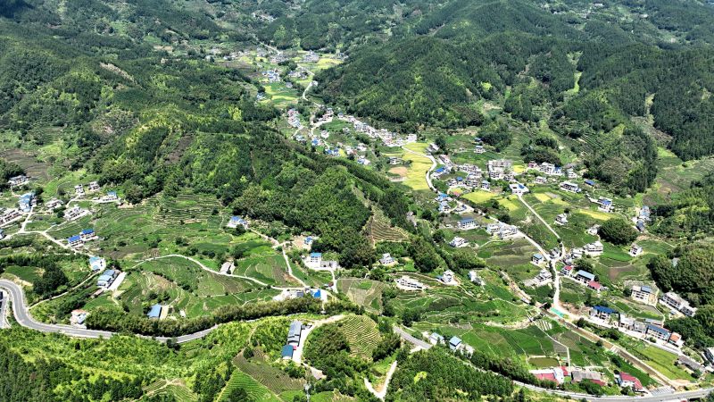 江西遂川：初秋乡村风光好