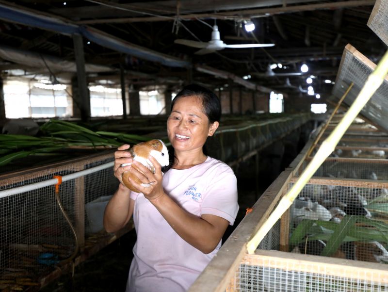 江西分宜：特色养殖助农增收