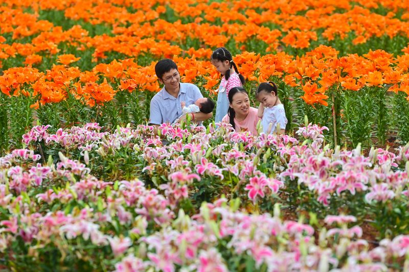 江西万载：乡村游 享假期