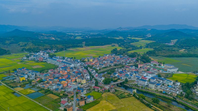 【视频】江西峡江：田园水乡绘就乡村振兴画卷