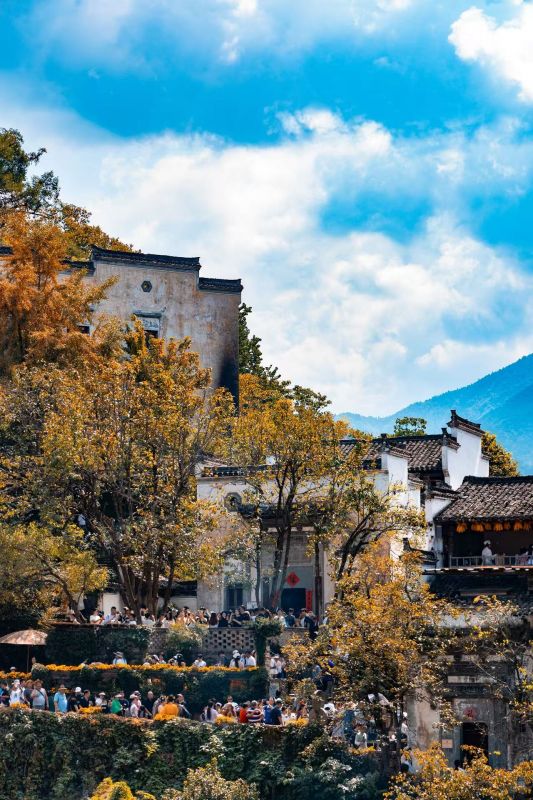 江西婺源：篁岭晒秋引客来