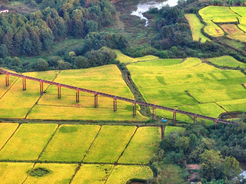 江西泰和：引水设施保丰收