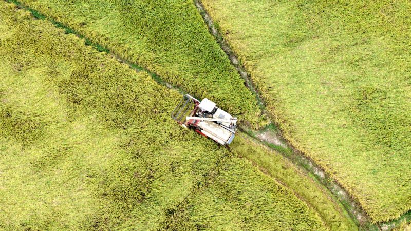 江西峡江：农业机械化 助力粮食丰收