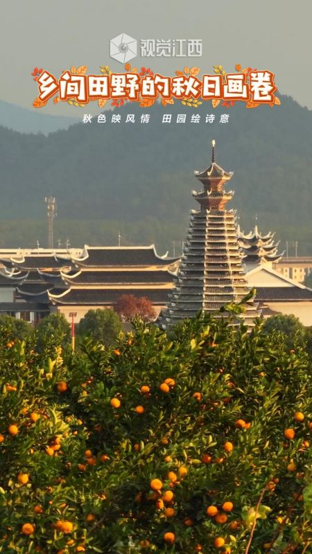乡间田野的秋日画卷